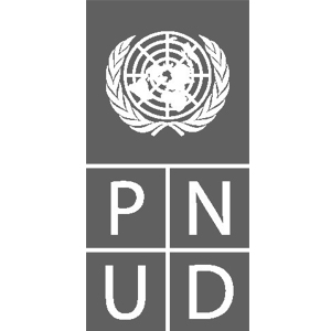 pnud