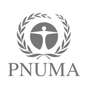 pnuma