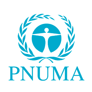 pnuma